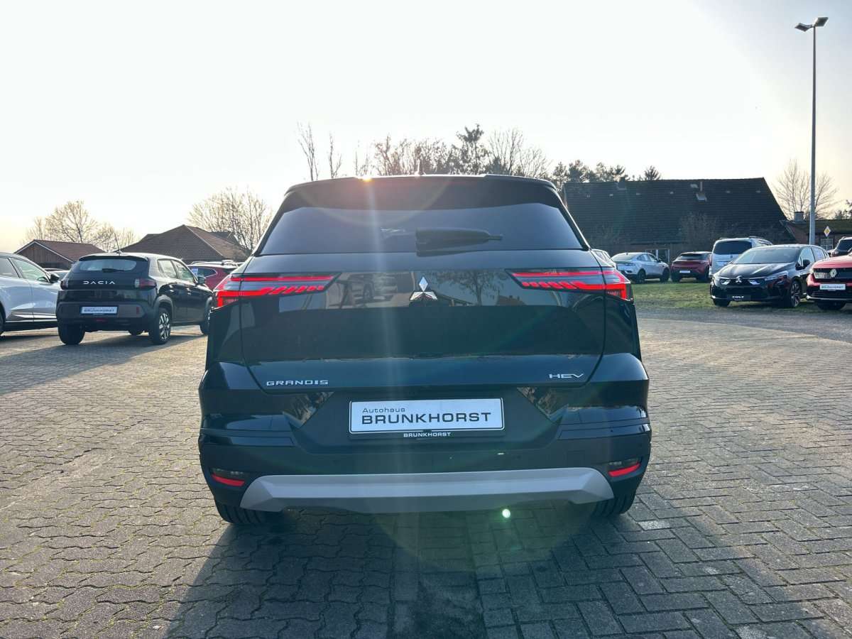 Fahrzeugbild eines Mitsubishi Grandis