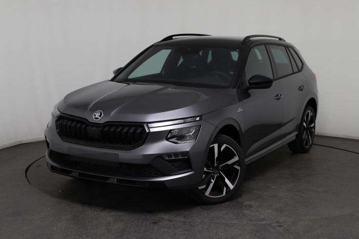 Fahrzeugbild eines Skoda Kamiq