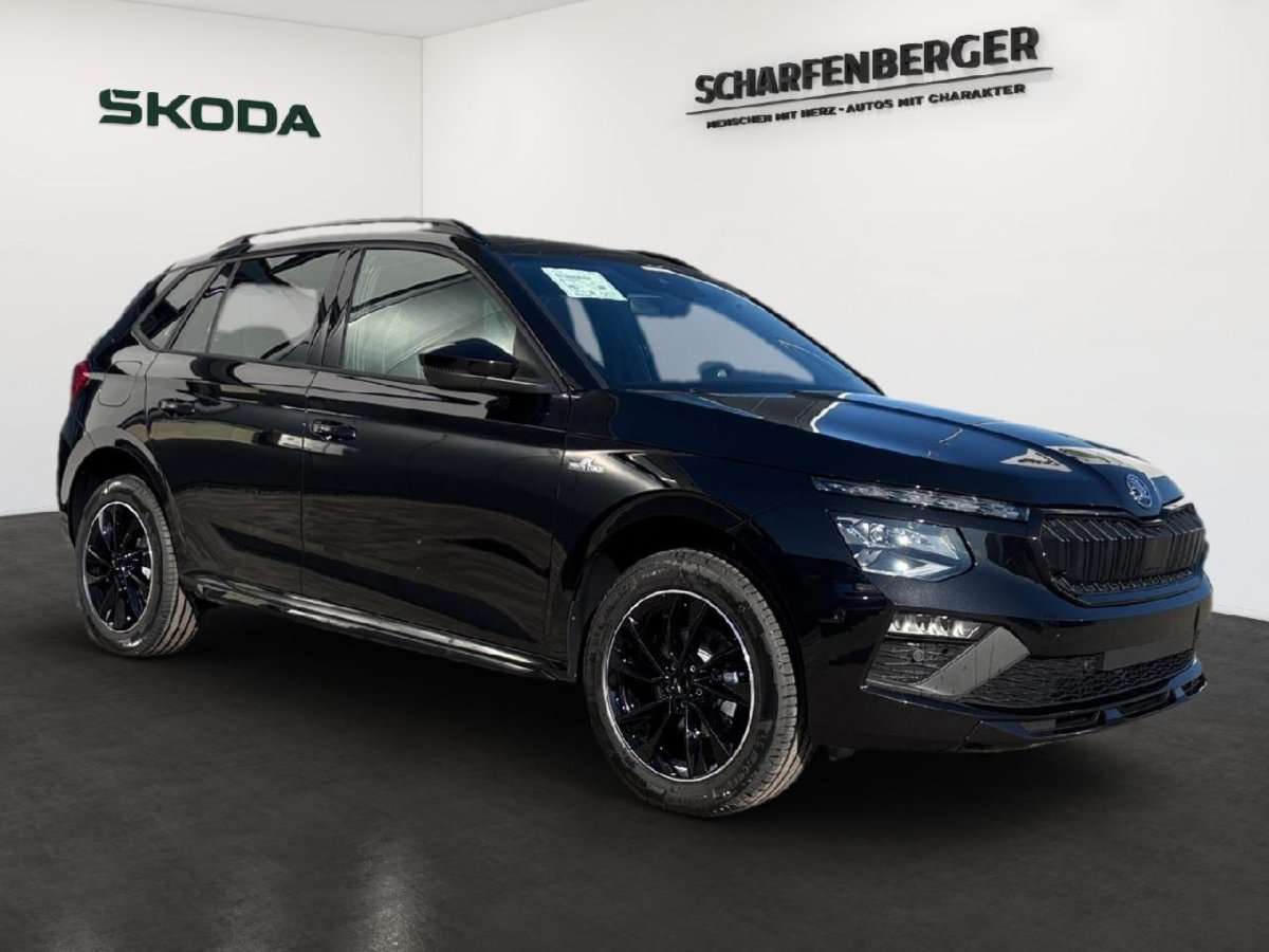 Fahrzeugbild eines Skoda Kamiq