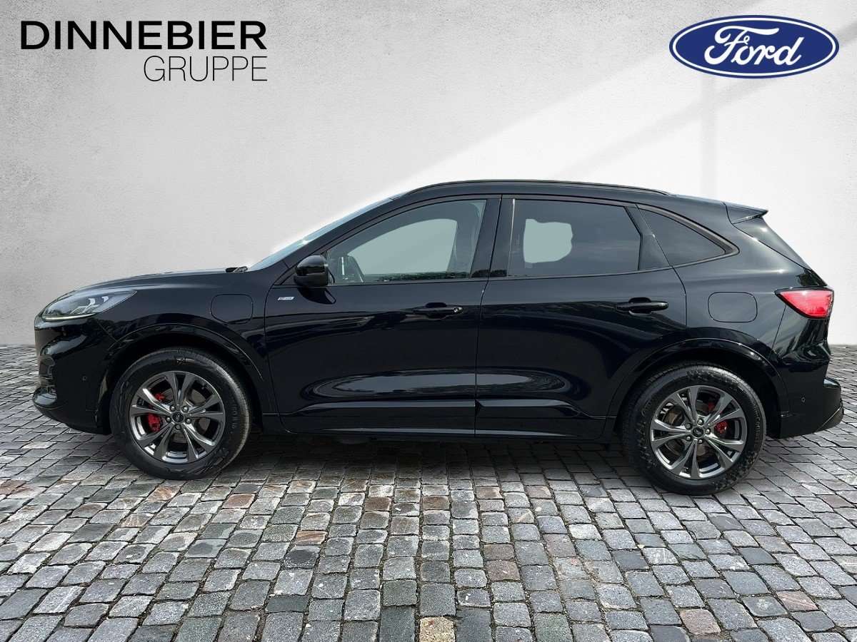 Fahrzeugbild eines Ford Kuga
