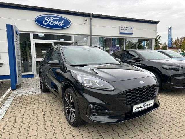 Fahrzeugbild eines Ford Kuga