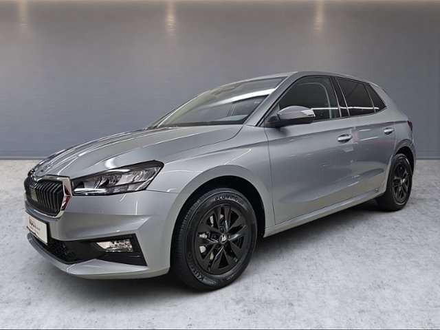 Fahrzeugbild eines Skoda Fabia
