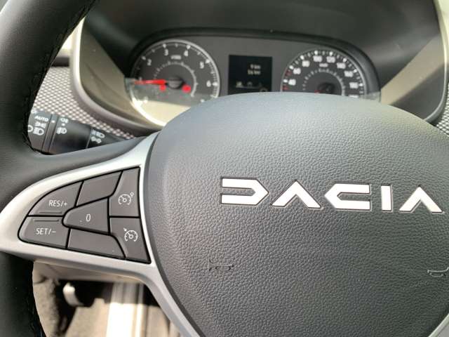 Fahrzeugbild eines Dacia Sandero