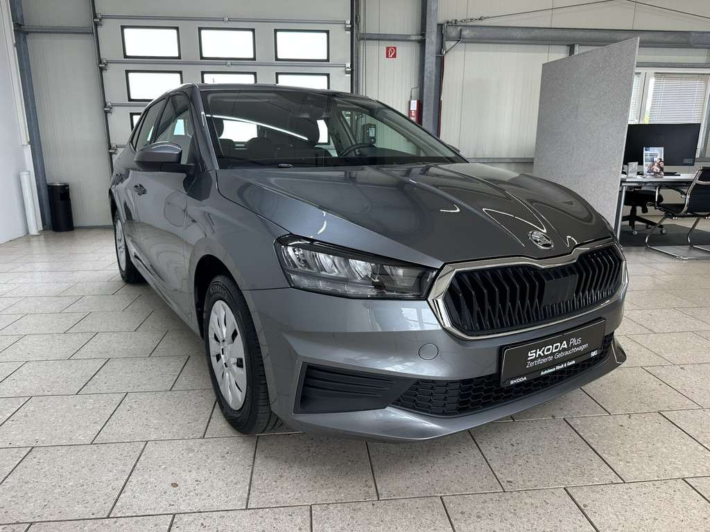 Fahrzeugbild eines Skoda Fabia