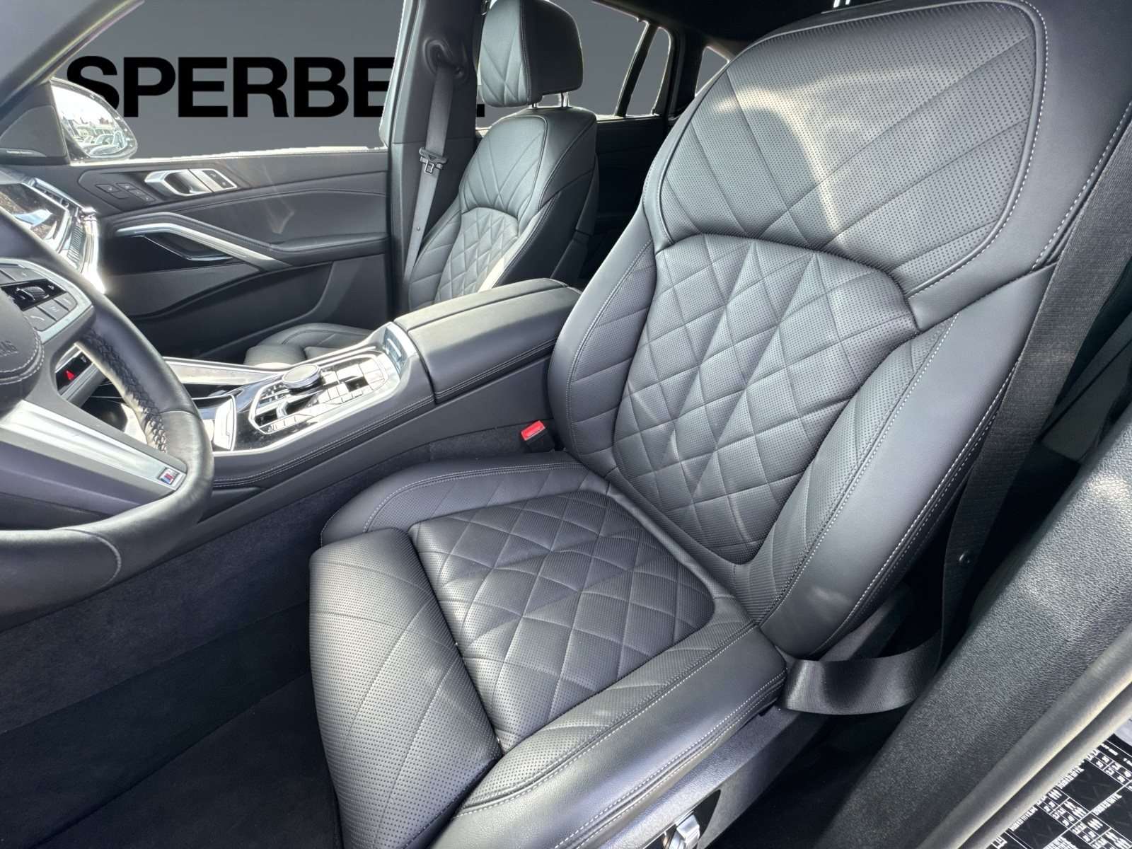 Fahrzeugbild eines BMW X6
