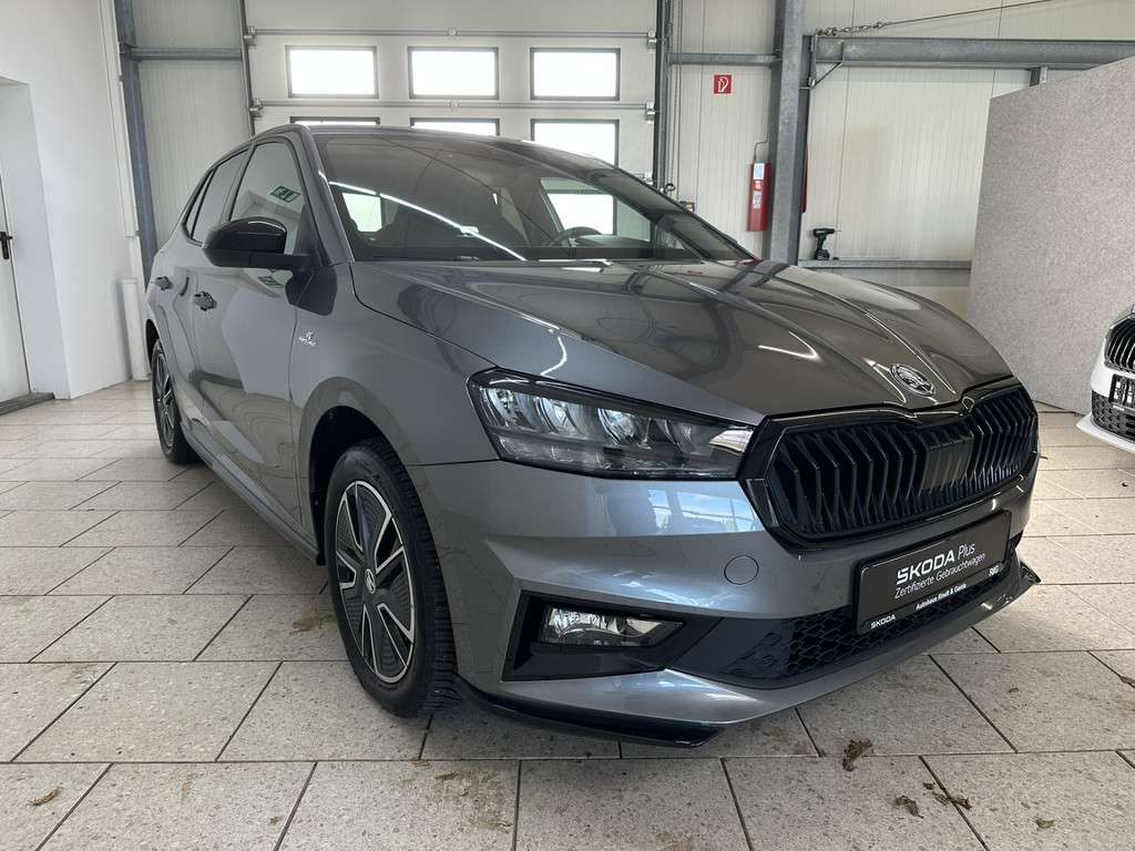 Fahrzeugbild eines Skoda Fabia