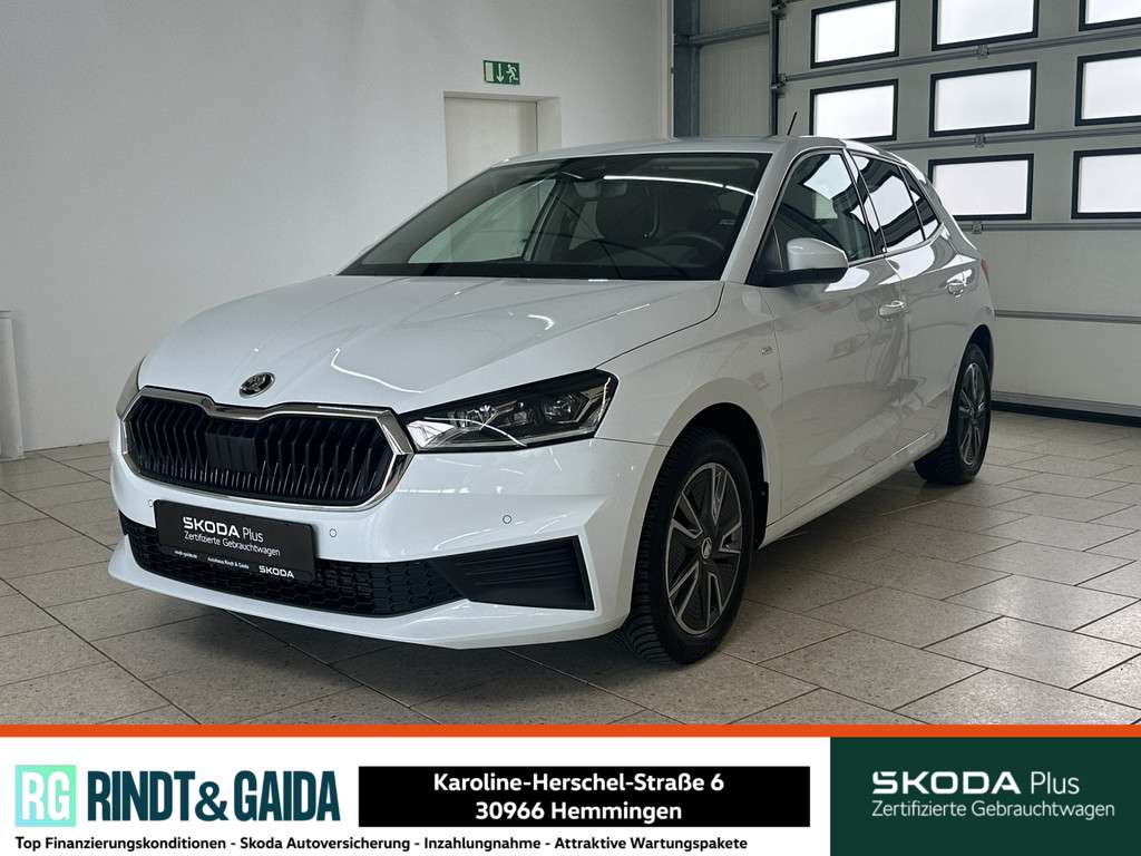 Fahrzeugbild eines Skoda Fabia