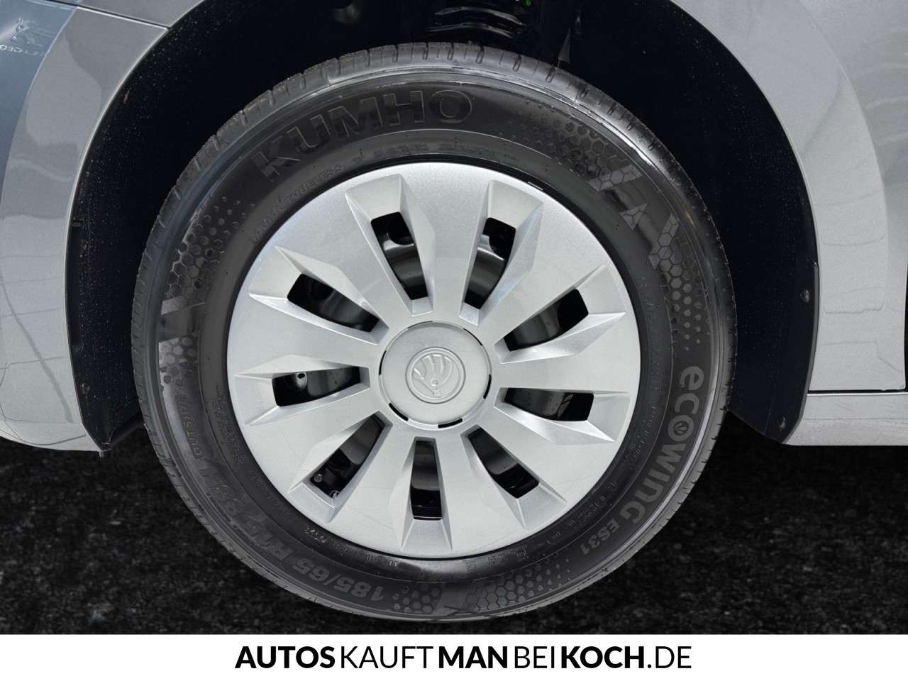 Fahrzeugbild eines Skoda Fabia