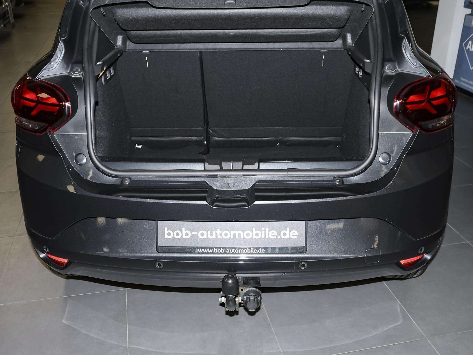 Fahrzeugbild eines Dacia Sandero