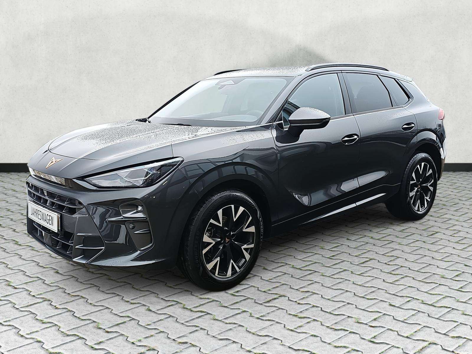 Fahrzeugbild eines CUPRA Terramar