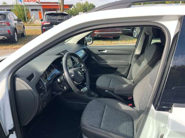 Fahrzeugbild eines Skoda Fabia