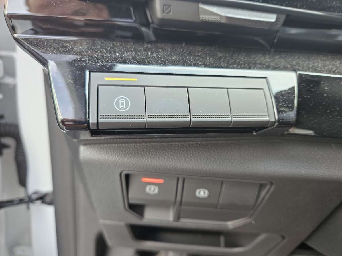 Fahrzeugbild eines Renault Austral