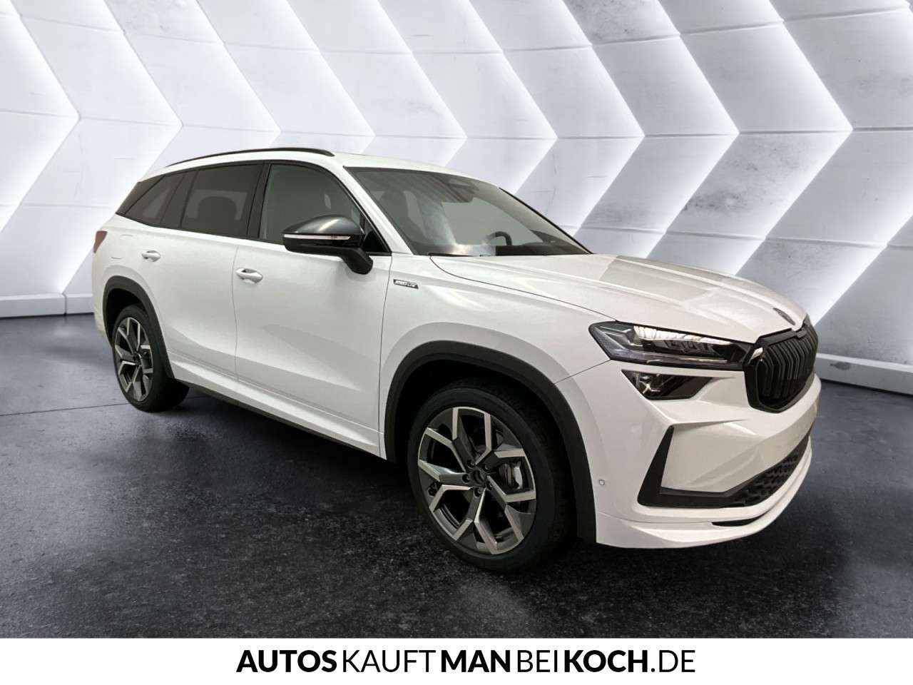 Fahrzeugbild eines Skoda Kodiaq