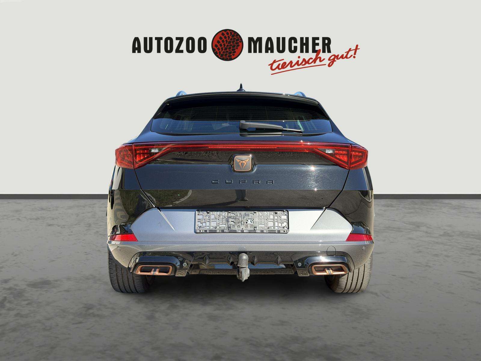 Fahrzeugbild eines CUPRA Formentor