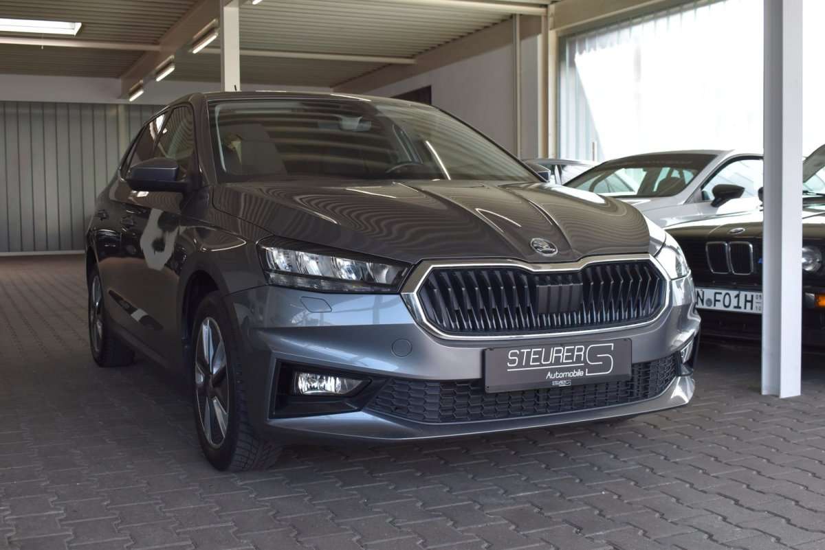 Fahrzeugbild eines Skoda Fabia