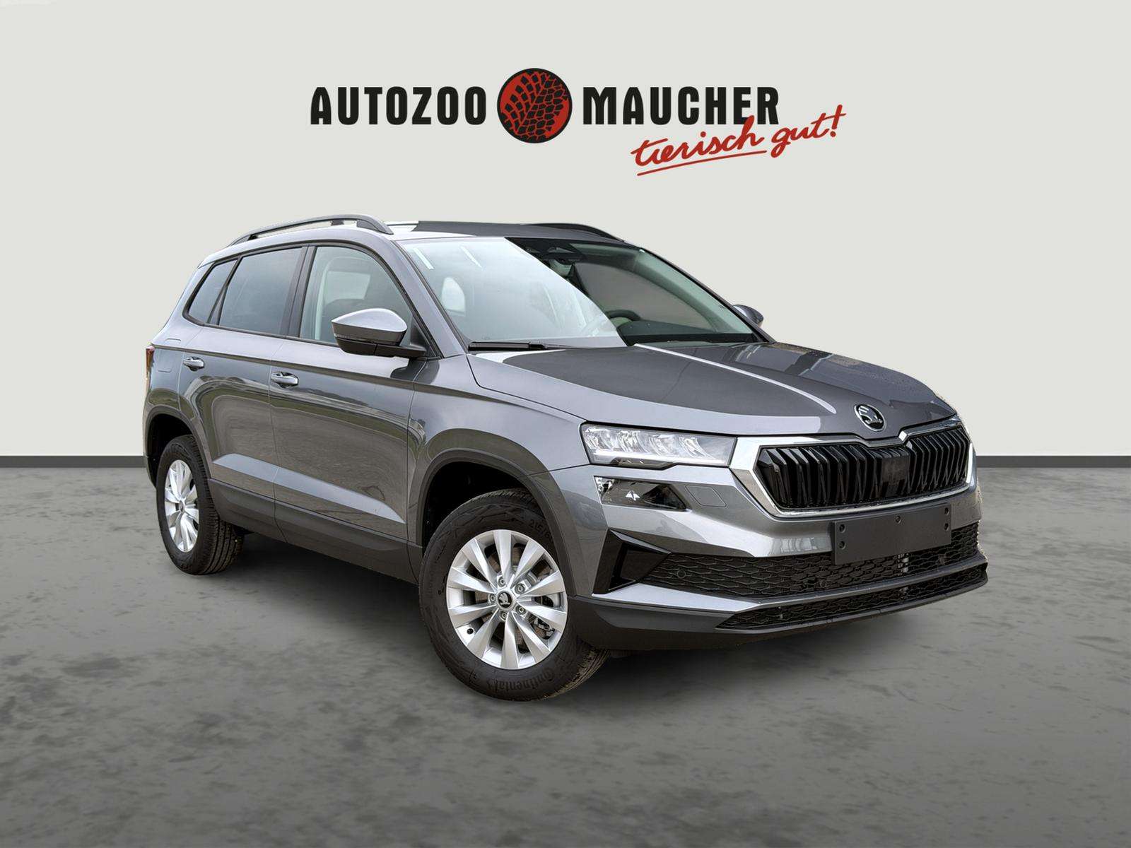 Fahrzeugbild eines Skoda Karoq