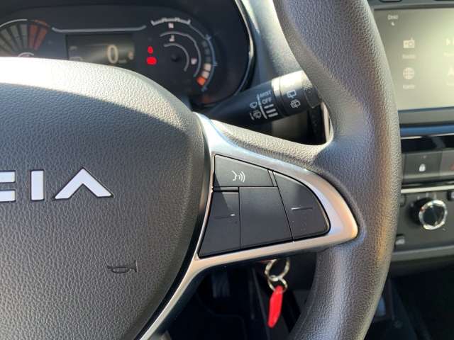 Fahrzeugbild eines Dacia Spring