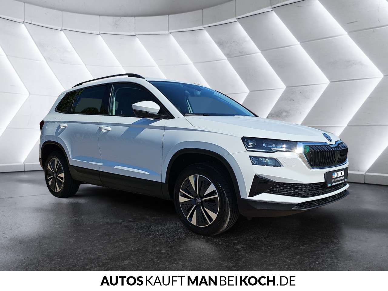 Fahrzeugbild eines Skoda Karoq