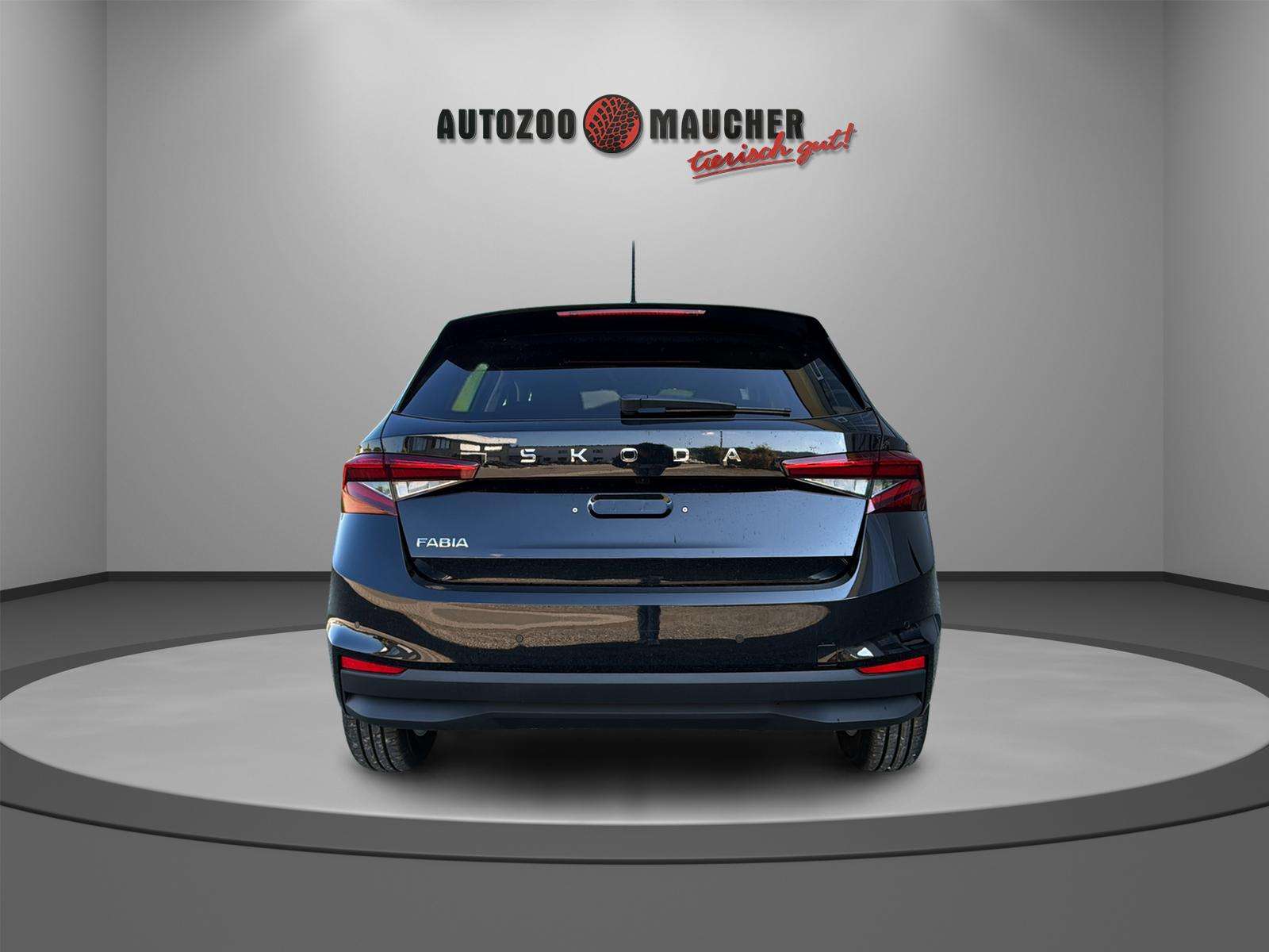 Fahrzeugbild eines Skoda Fabia