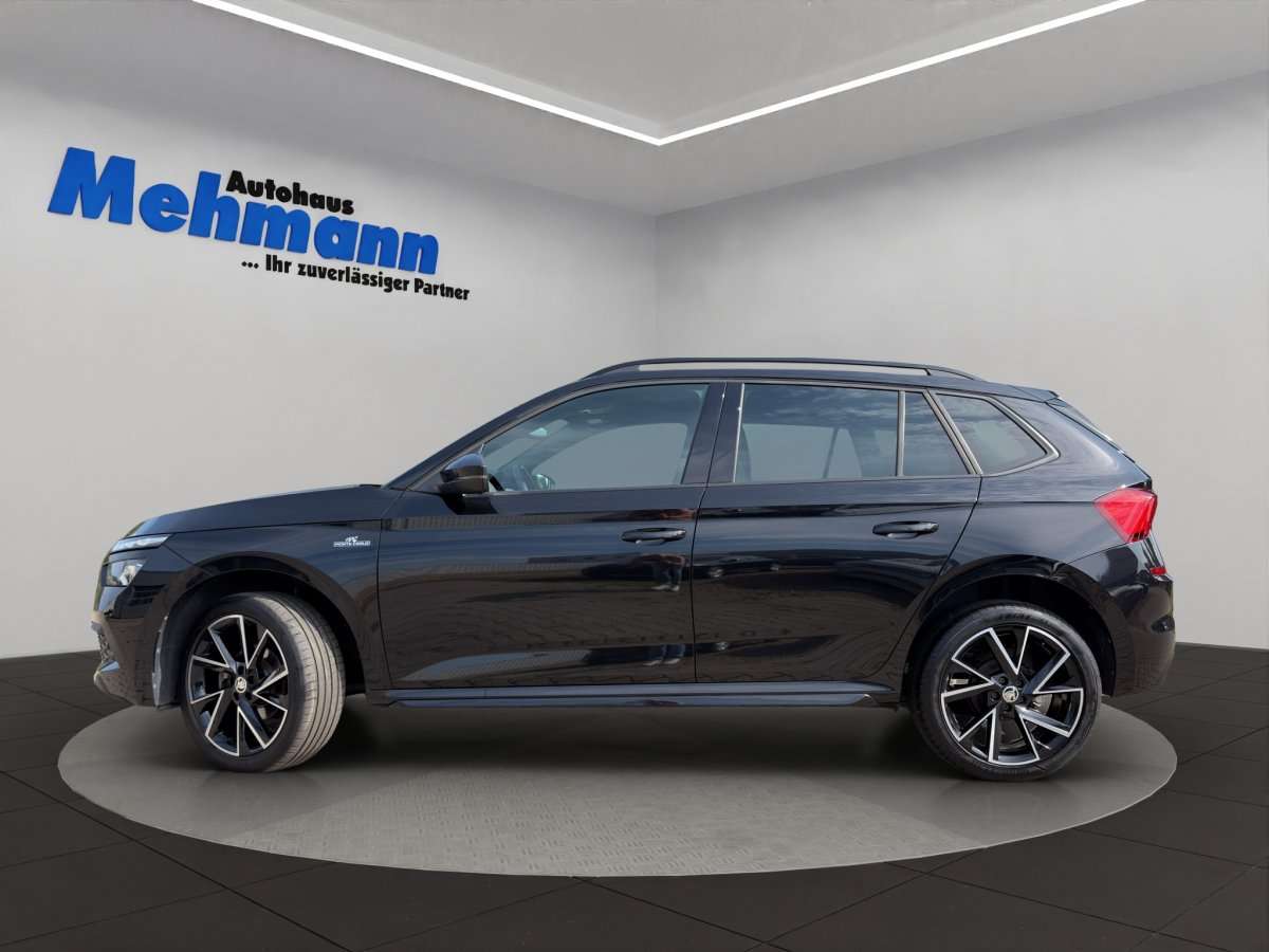 Fahrzeugbild eines Skoda Kamiq