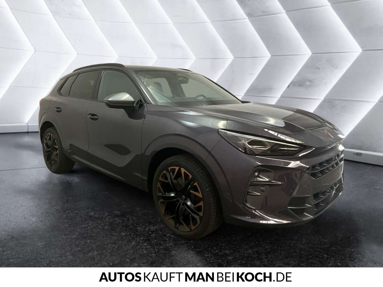 Fahrzeugbild eines CUPRA Terramar