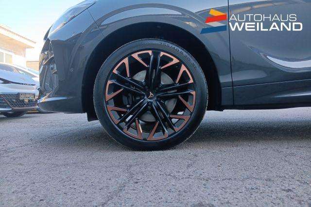 Fahrzeugbild eines CUPRA Terramar