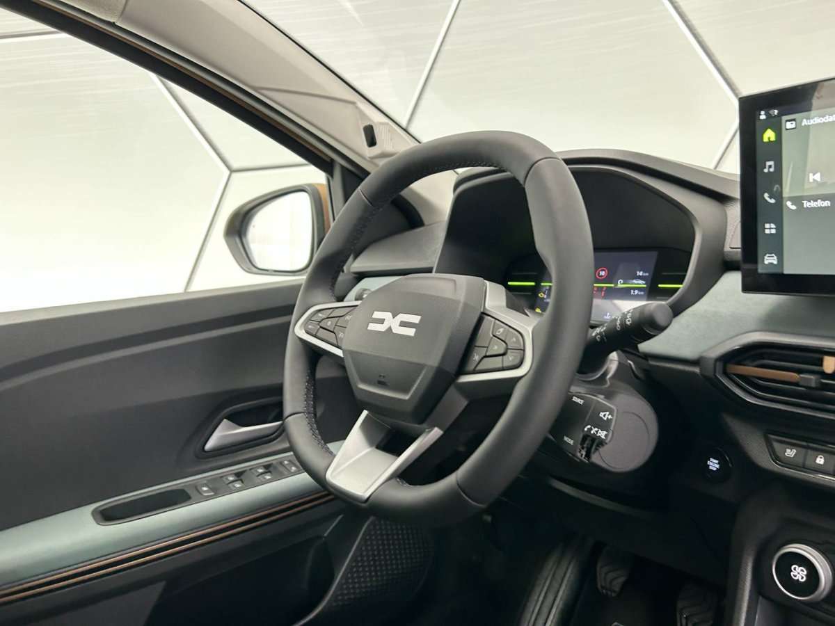 Fahrzeugbild eines Dacia Sandero