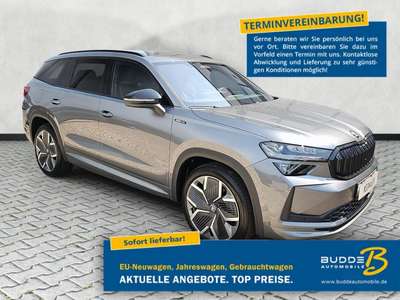 Bild Skoda Kodiaq