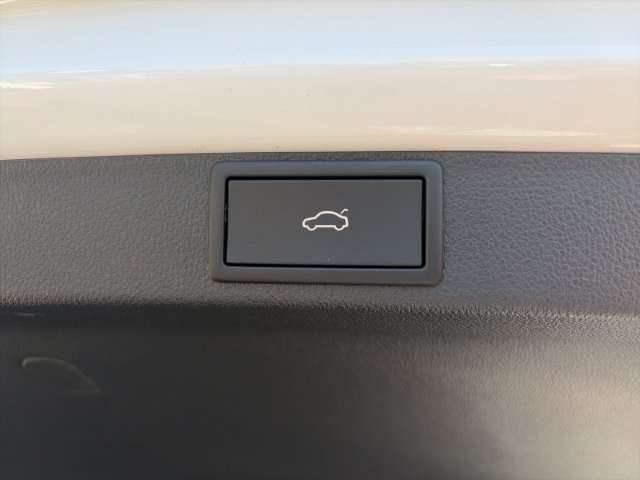 Fahrzeugbild eines Skoda Octavia