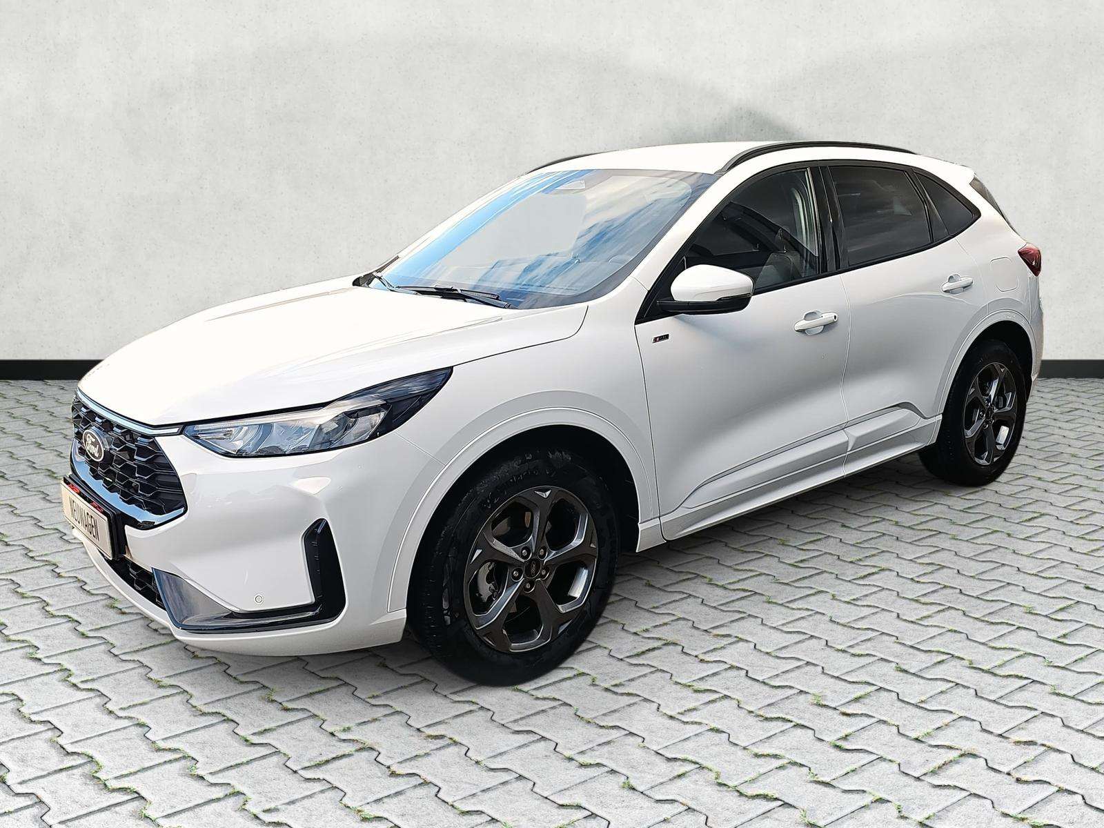 Fahrzeugbild eines Ford Kuga