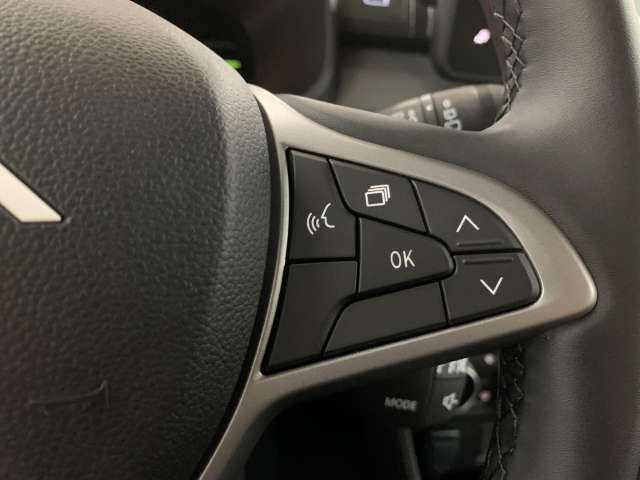 Fahrzeugbild eines Dacia Jogger