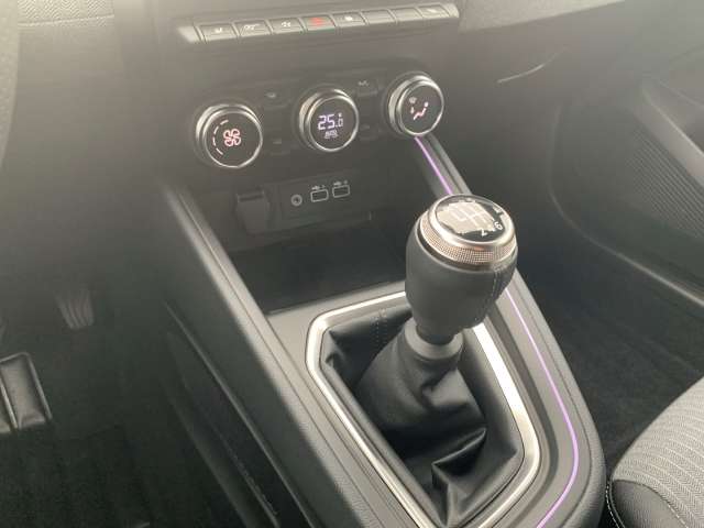 Fahrzeugbild eines Renault Clio