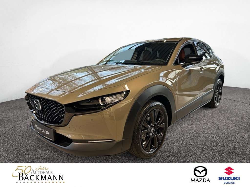 Fahrzeugbild eines Mazda CX-30