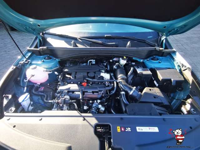 Fahrzeugbild eines Kia Sportage