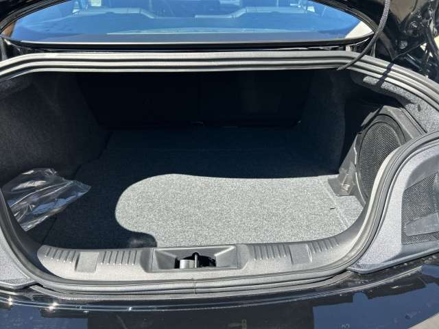 Fahrzeugbild eines Ford Mustang