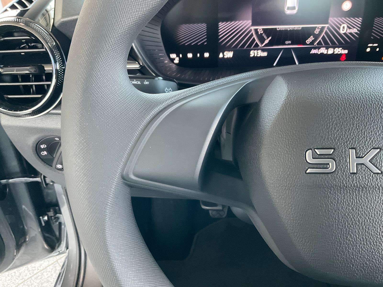 Fahrzeugbild eines Skoda Fabia