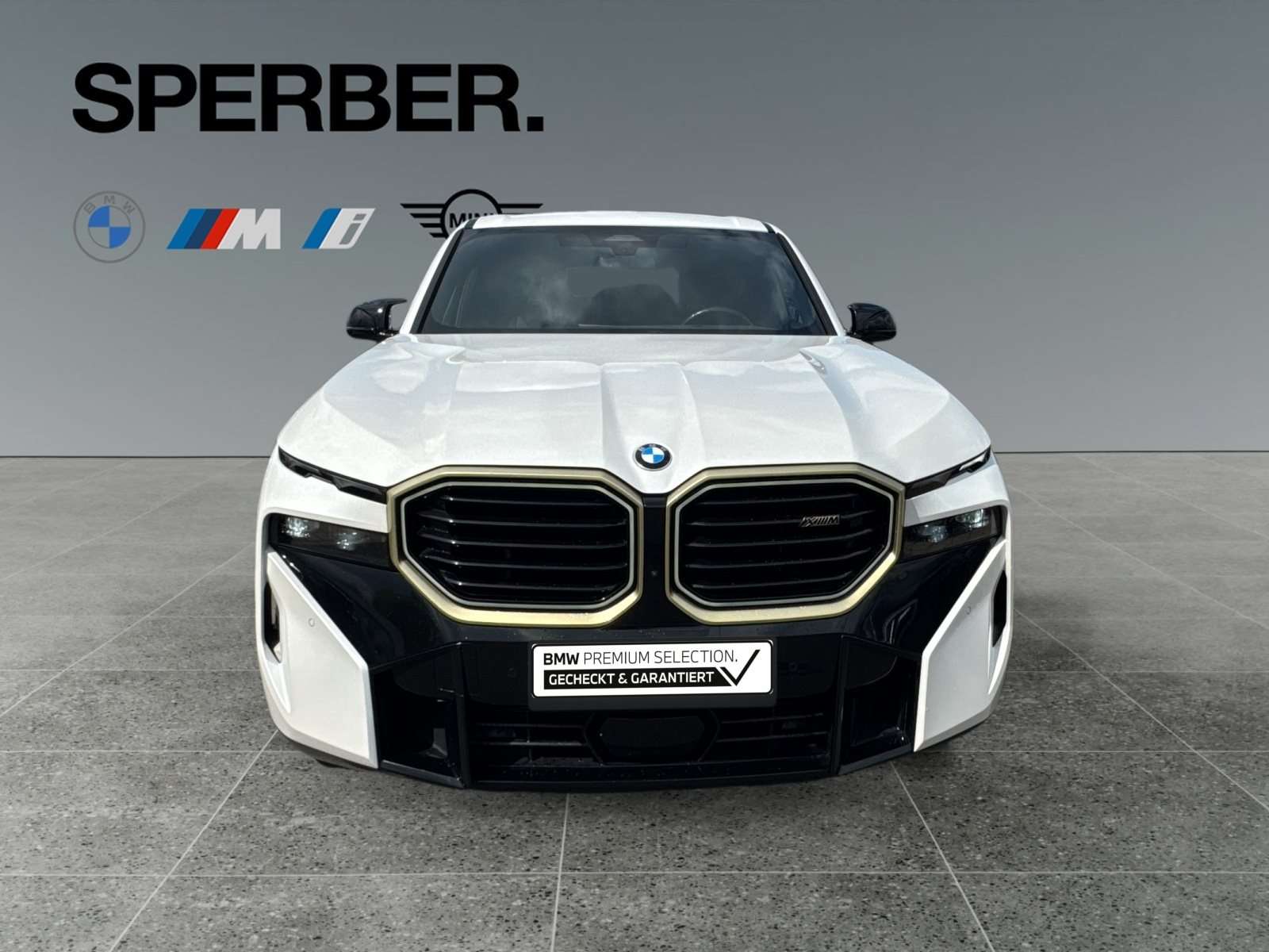 Fahrzeugbild eines BMW XM