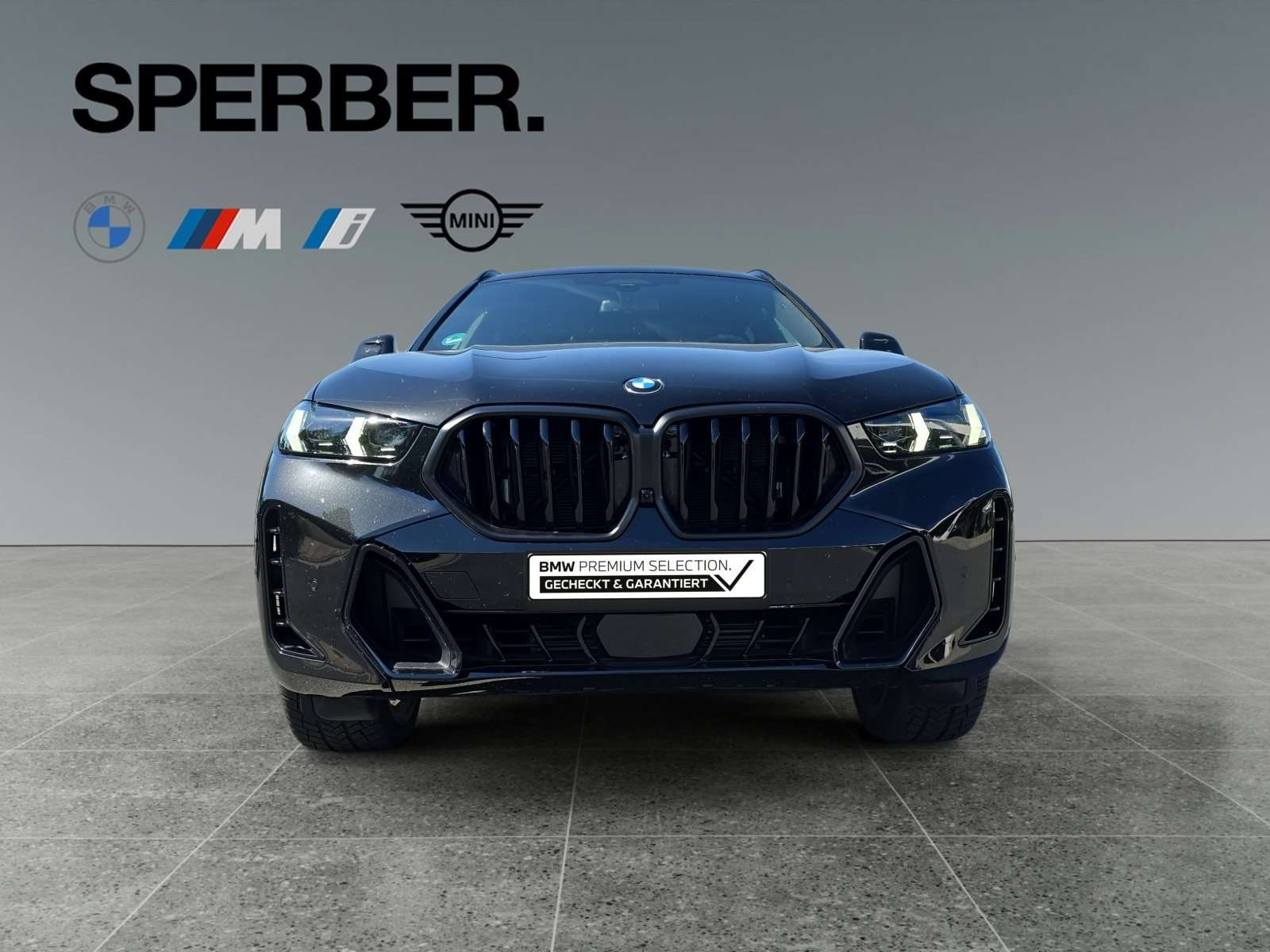 Fahrzeugbild eines BMW X6