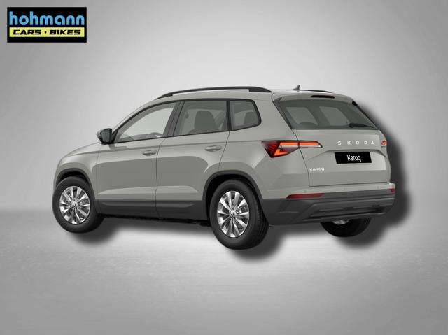 Fahrzeugbild eines Skoda Karoq