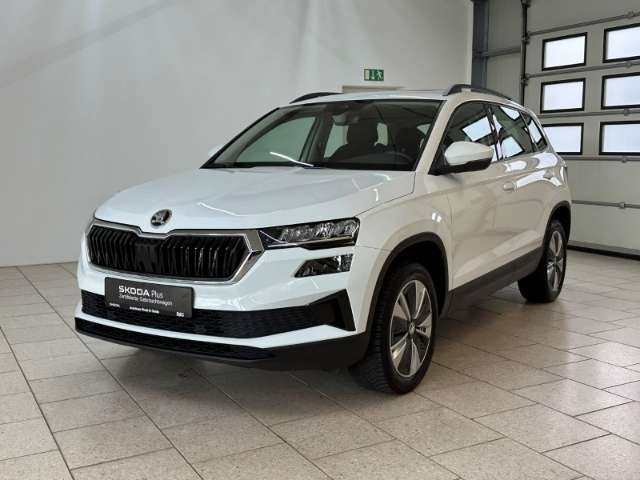 Fahrzeugbild eines Skoda Karoq