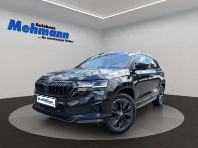 Bild Skoda Karoq