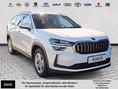 Bild Skoda Kodiaq