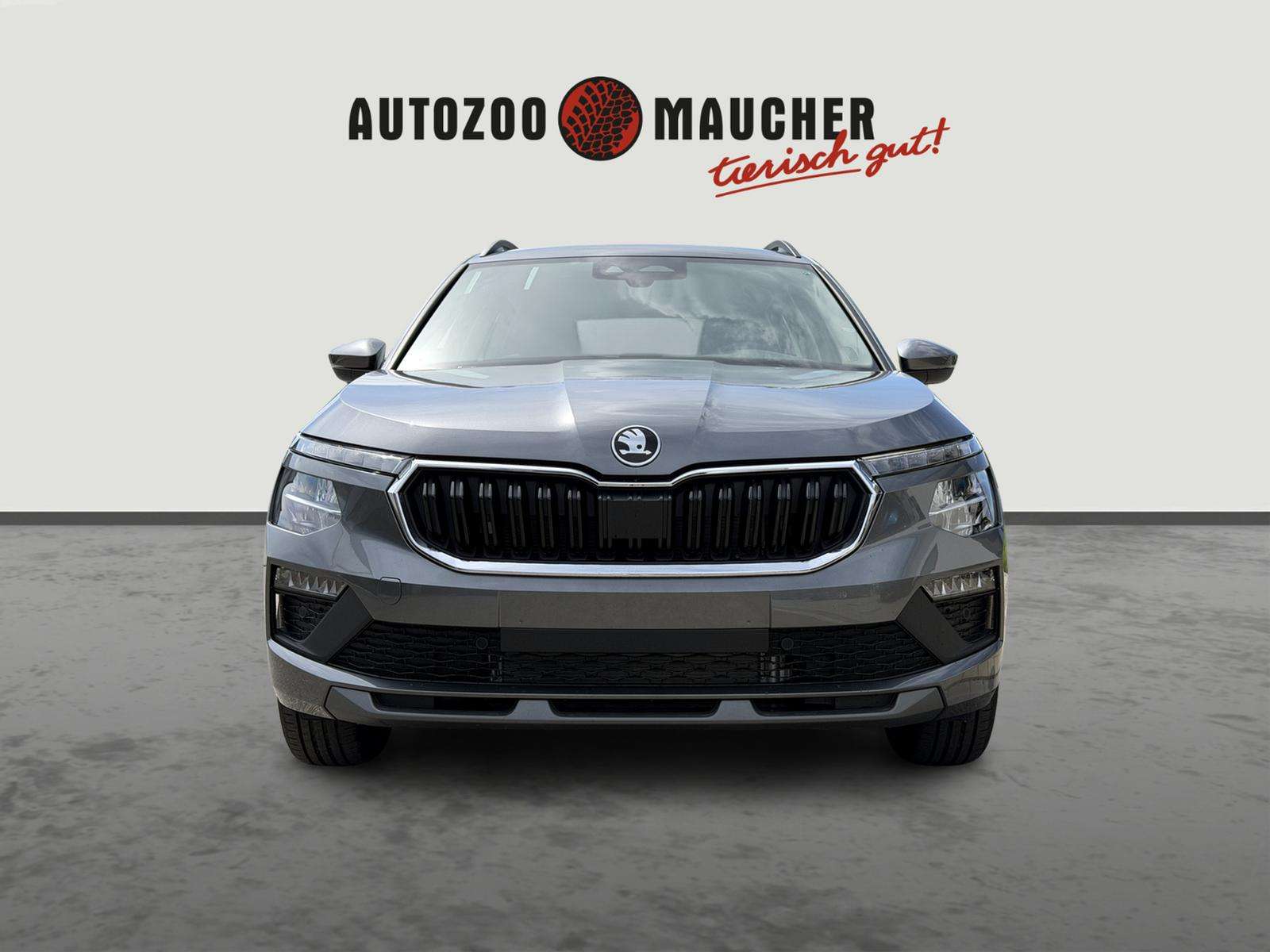 Fahrzeugbild eines Skoda Kamiq