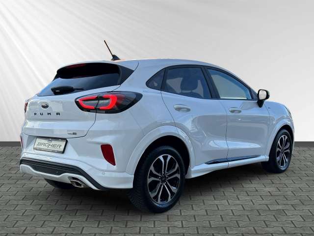 Fahrzeugbild eines Ford Puma
