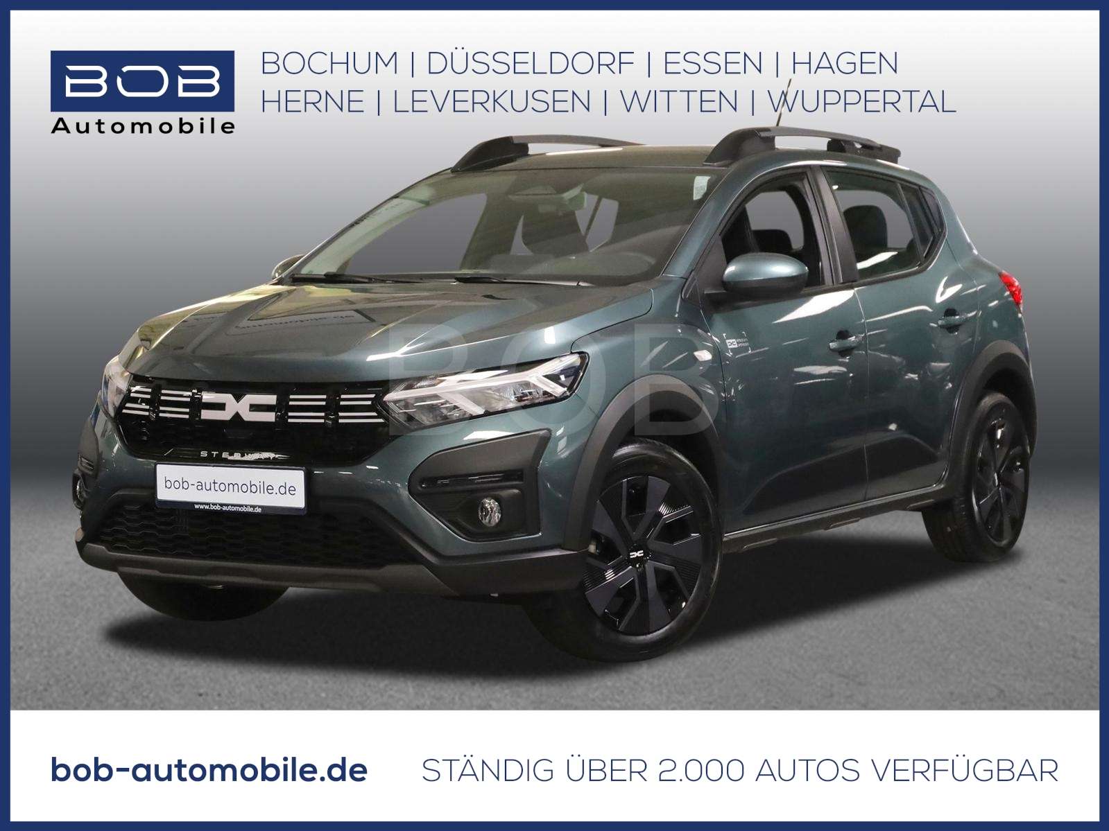 Fahrzeugbild eines Dacia Sandero