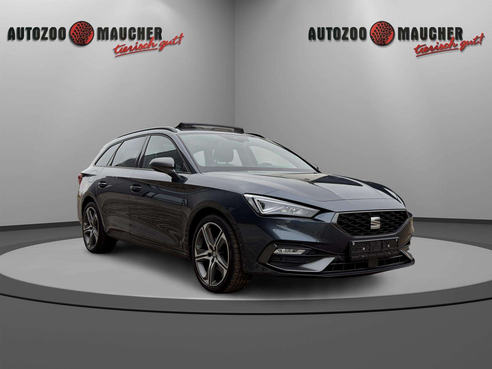 Fahrzeugbild eines SEAT Leon