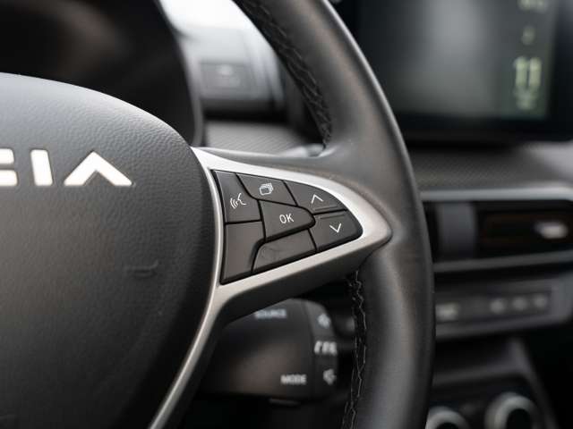 Fahrzeugbild eines Dacia Sandero