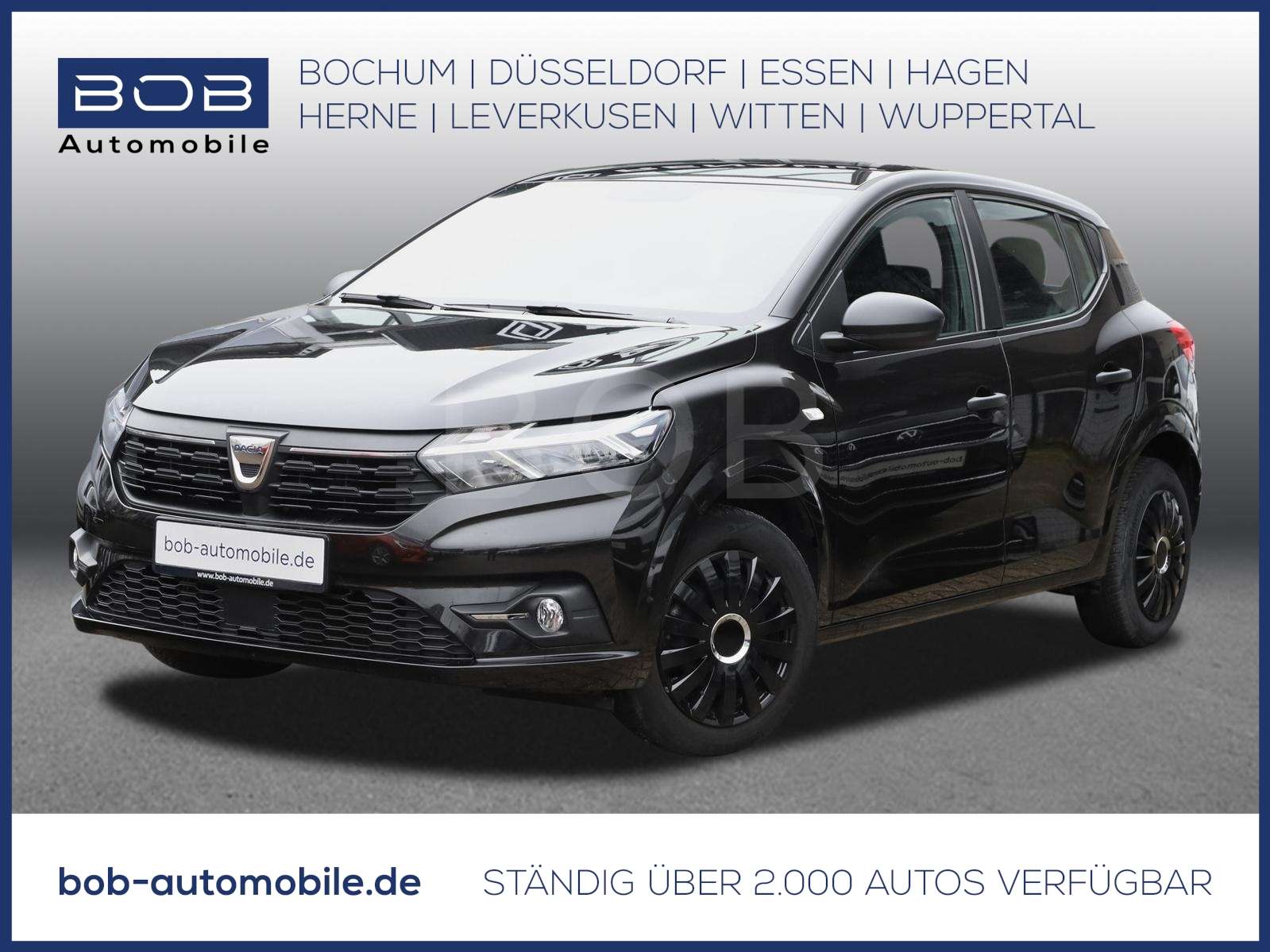 Fahrzeugbild eines Dacia Sandero