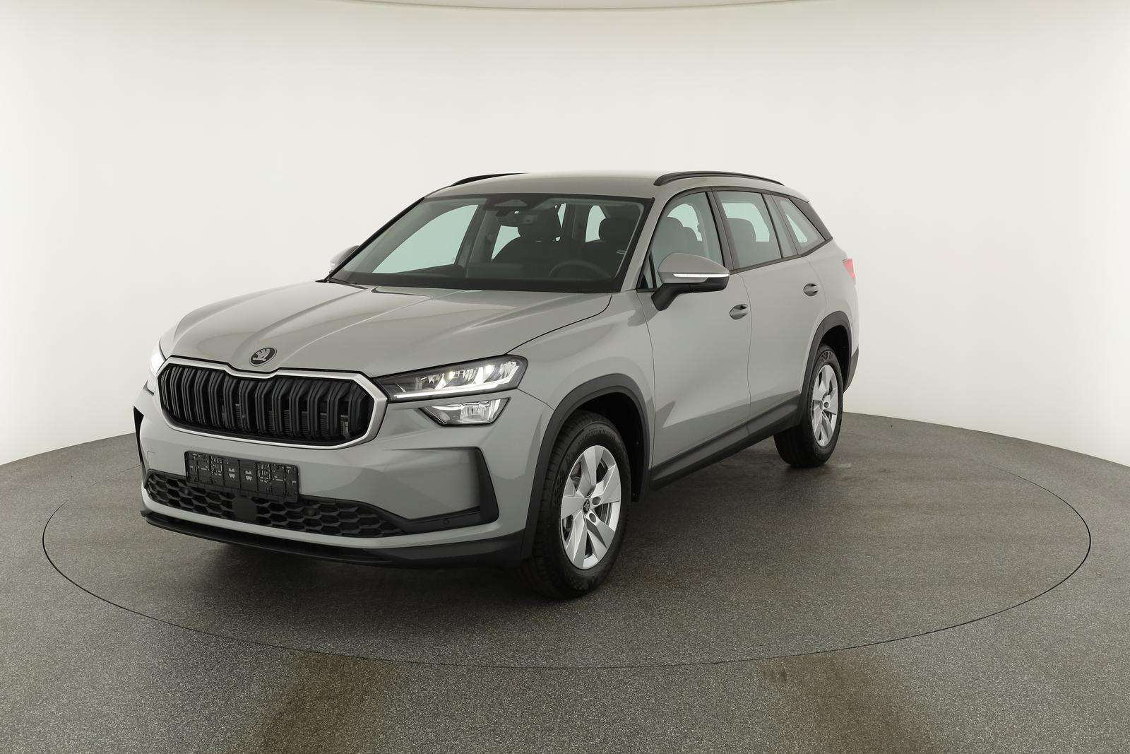 Fahrzeugbild eines Skoda Kodiaq