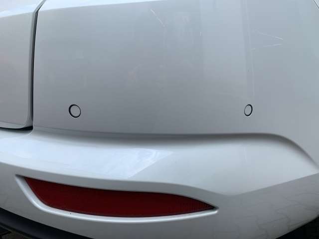 Fahrzeugbild eines Renault Talisman